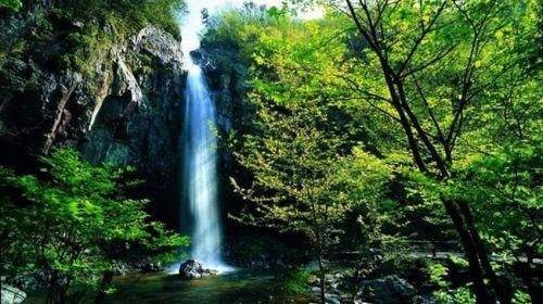 �������ֳ�ϲ��Ƶ��