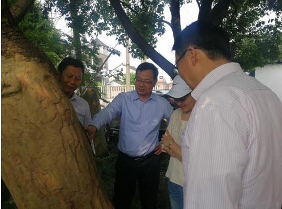 ȫ�й�����ľ���������ֳ����ڴ�Ϫ��ɽ���ٿ�