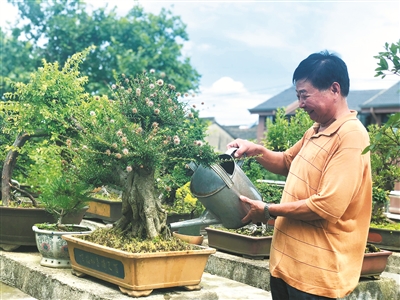 ۴�ݽ�ɽ½���ߴ壺ͥԺ���������