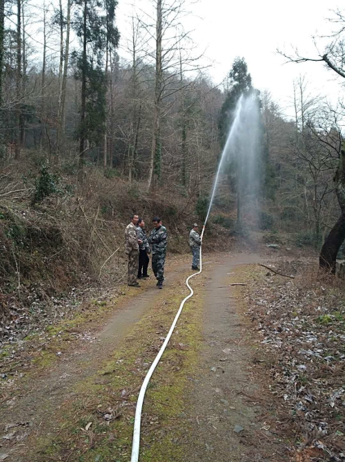 �����ز�ɽ�ֳ���չ����ɭ�ַ��������