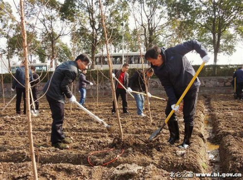 ��������չ����ֲ���