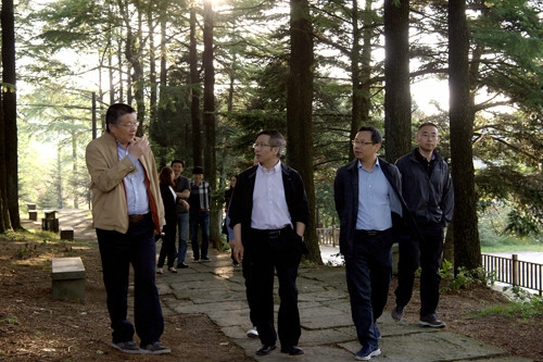 ���ҡ�ɭ��С��ר���鸰���ֳ�ʵ�ص���