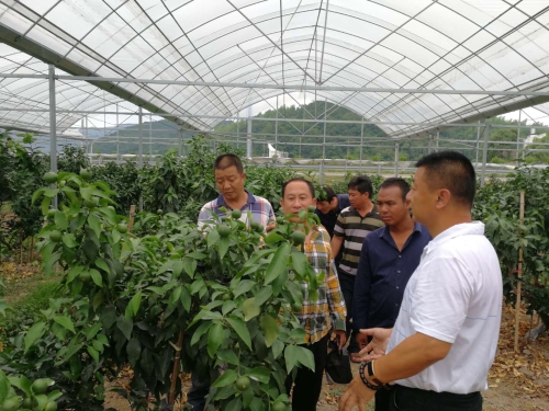 �����ҳ��Ŷӵ���ɽ������ٲ�ҵ